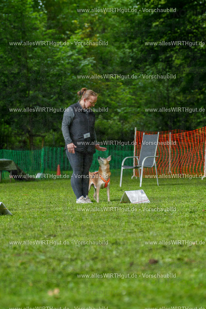 @allesWIRTHgut_Tierfotografie - www.allesWIRTHgut.de - 7R502024 | Professionelle Tierfotografie in Mönchengladbach von Daniel Wirth (allesWIRTHgut). Liebevolle & natürliche Bilder von Hunden & Katzen für unvergessliche Erinnerungen.