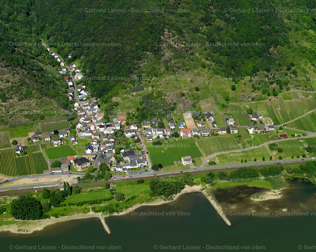 3120729 | Niederhammerstein