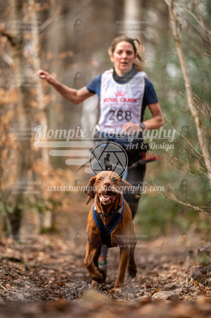 SPA_2023_DIM_CCK-81 | PayLife