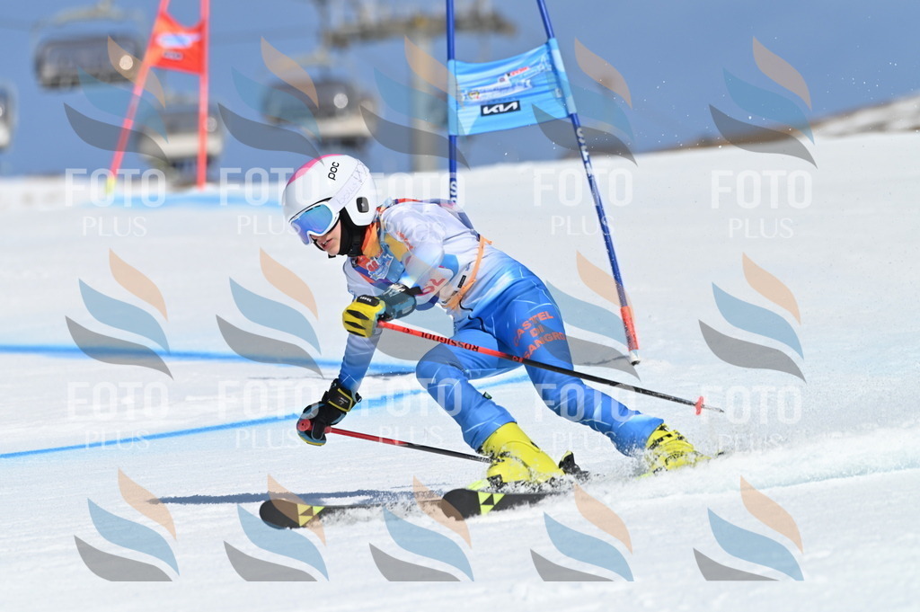 BGV_8771 | holidayphoto