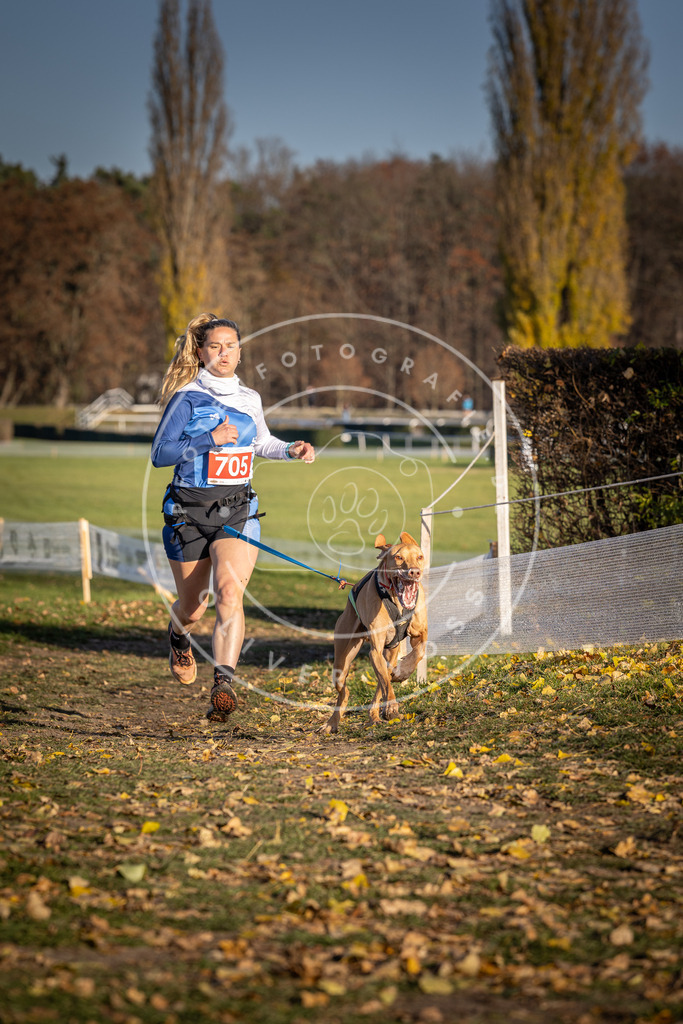 CaniXpix_DV3A1543 | Hundefotografie, Tierfotograf, Pfotenfotografie, Fotoshooting Hund, Hunde Portrait, Hundesport, Hundeportraits, Heideshooting, Hunde, Sportfotograf, Hundefotograf, Turnierhundsport, THS,  - Realisiert mit Pictrs.com