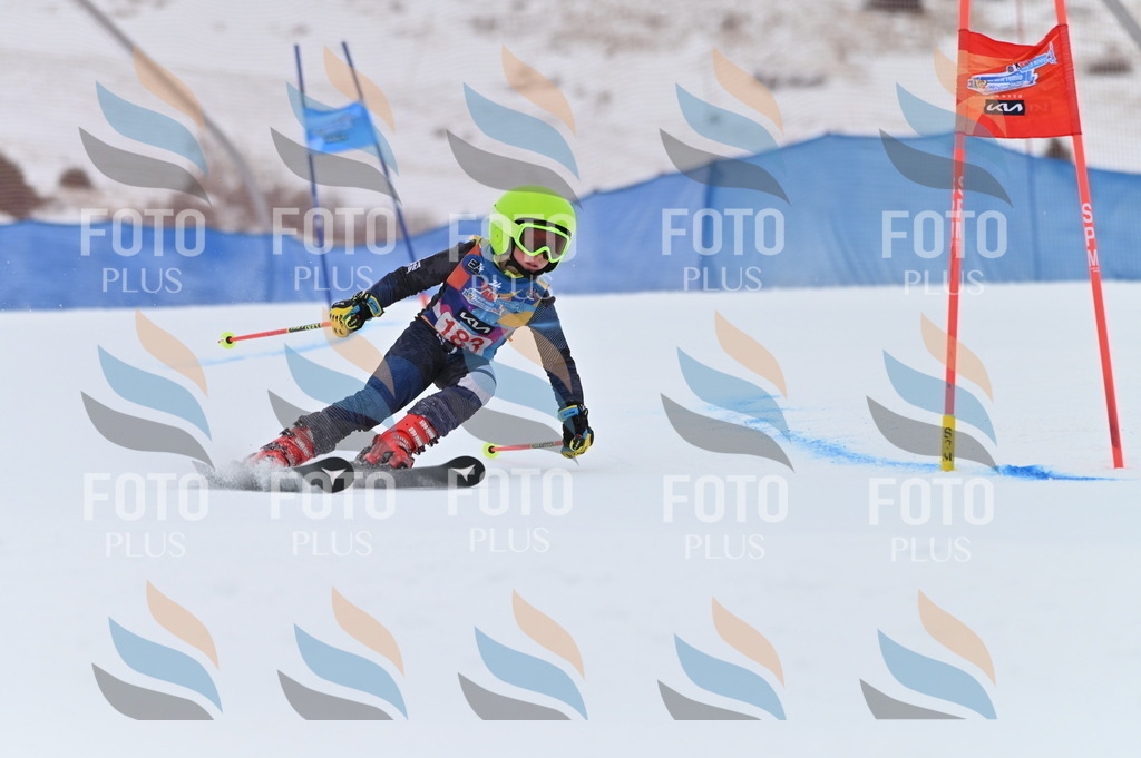 BGV_1109 | holidayphoto