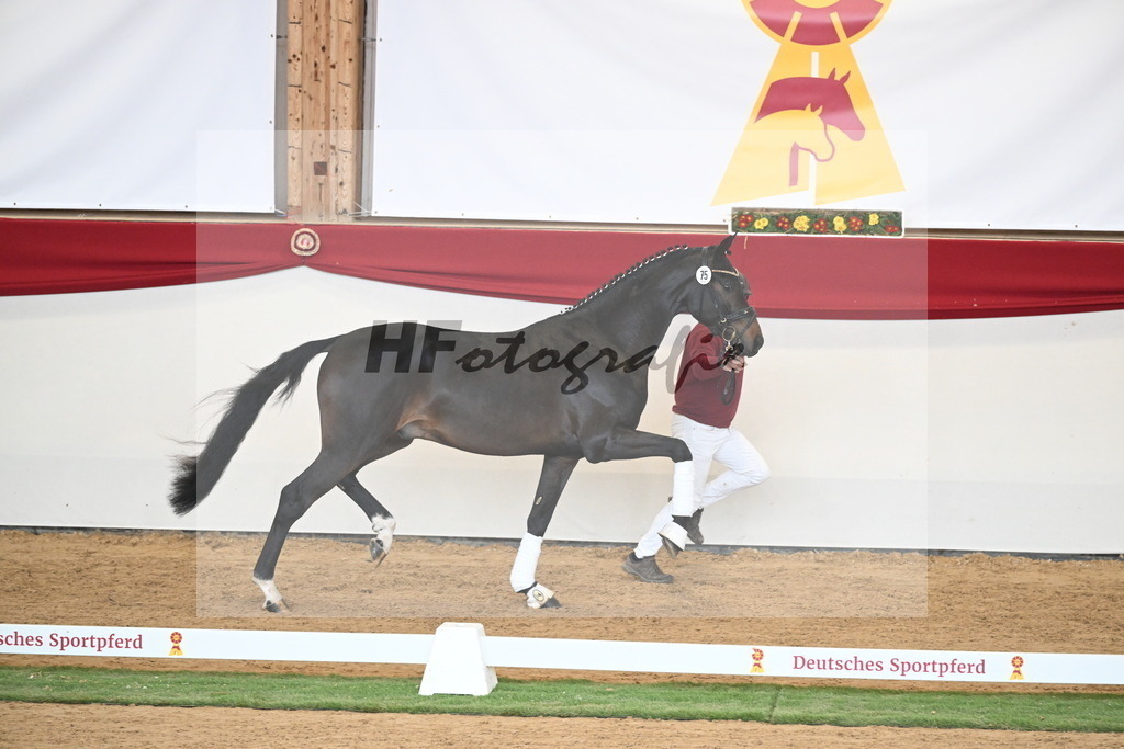 Kat.-Nr. 75 v. Santos_Greim_2250832 | hf-fotografie - Realizzato con Pictrs.com