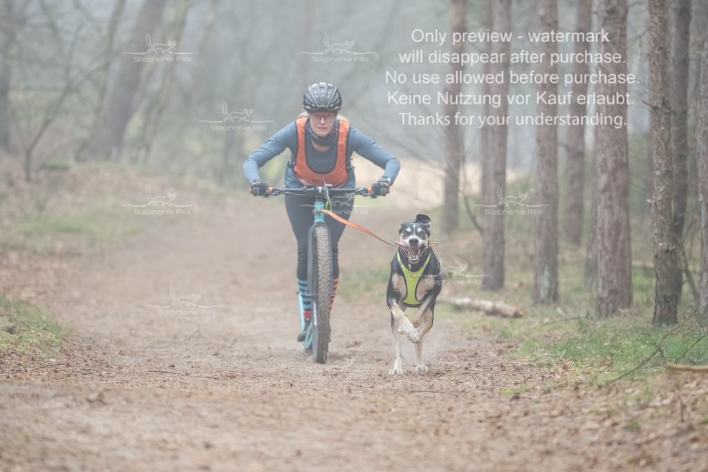 Scooter1-93 | stephaniefillaphotographie - Realisiert mit Pictrs.com