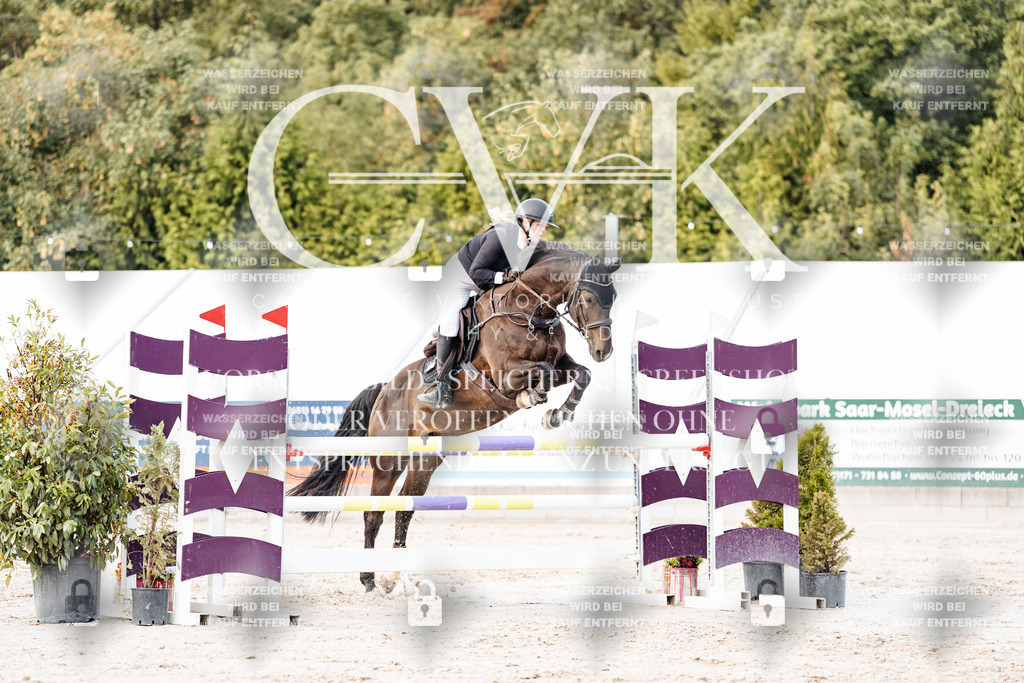 CK903706 | Turnierfotografie Pferdefotografie Trier Rheinland-Pfalz Pferdesport Reitsport Tierfotografie Sportfotografie Pferdevideo Pferdevideografie Equestrianvideography equestrianphotography  - Realisiert mit Pictrs.com