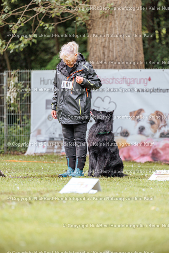 RO-Blumenthal-2026-Nickbest-Hundefotografie-1248 | Dein Hund! Dein Moment! Deine Erinnerungen! Hundefotografie in Bremen Blumenthal. Ich fange die besonderen Momente deines Vierbeiners ein – ob Indoor mit Blitzanlage oder in der freien Natur. Sicher dir dein Moment und dein Termin für eure Erinnerungen.