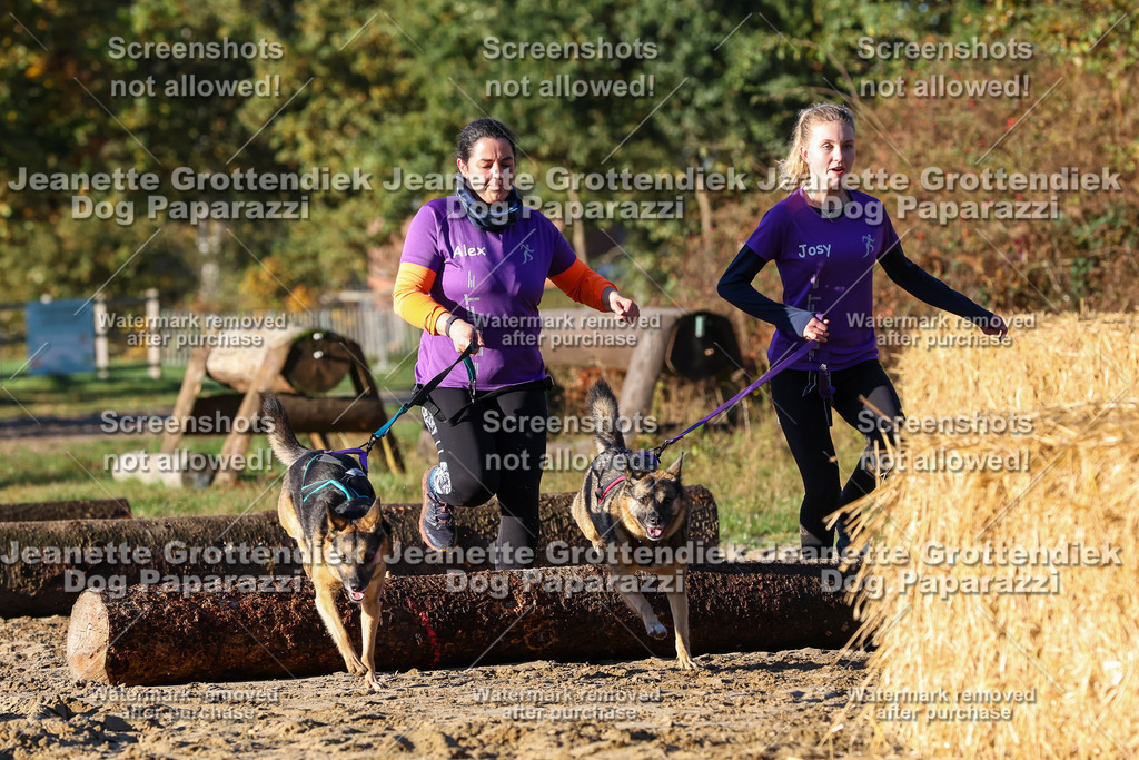Dog Paparazzi - Strongdog 10-25-1076 | Dog Paparazzi Jeanette Grottendiek Fotografie & Videografie - Realisiert mit Pictrs.com