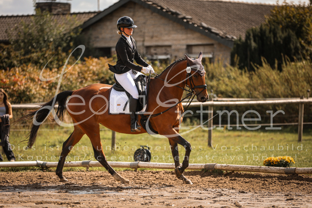 02.SoDrWB00202 | Leoni Ertmer Photography - Realisiert mit Pictrs.com