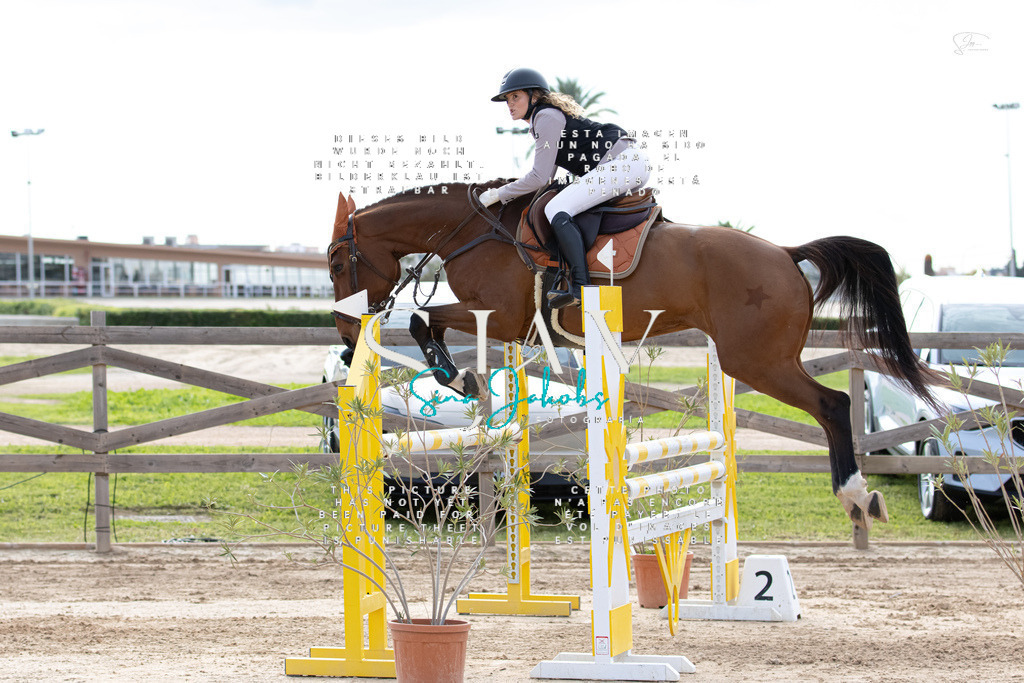 IMG_3120 | s-jay-photography - Realisiert mit Pictrs.com