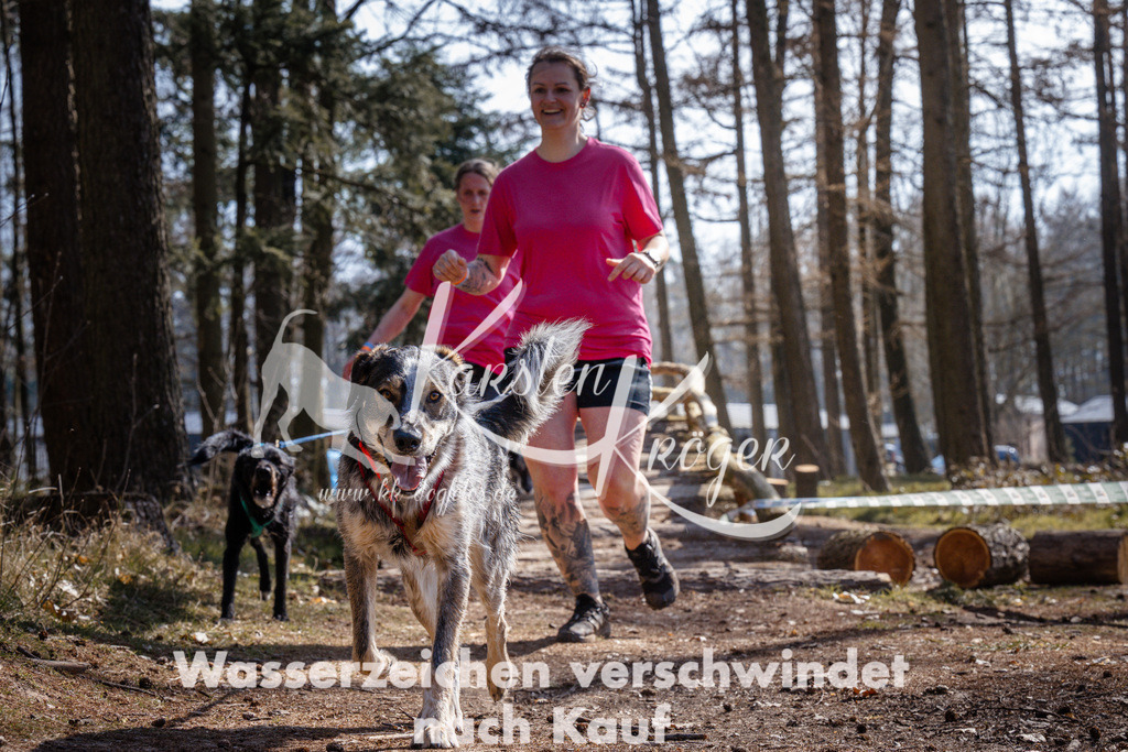 1345_ZZ96365 | kk-dogfotos