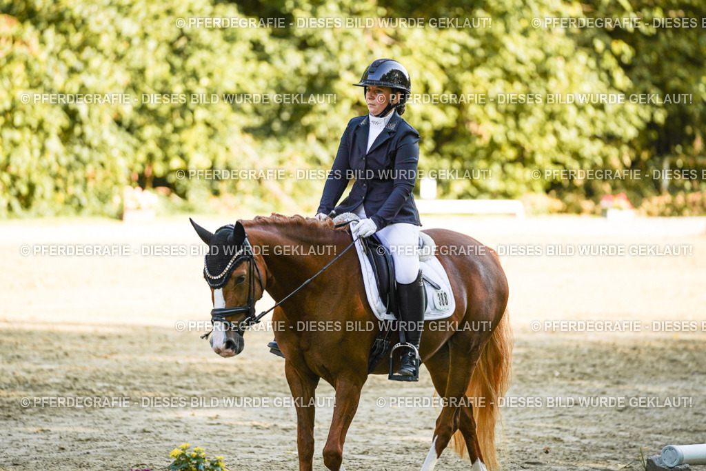 DSC06119 | Pferdegrafie