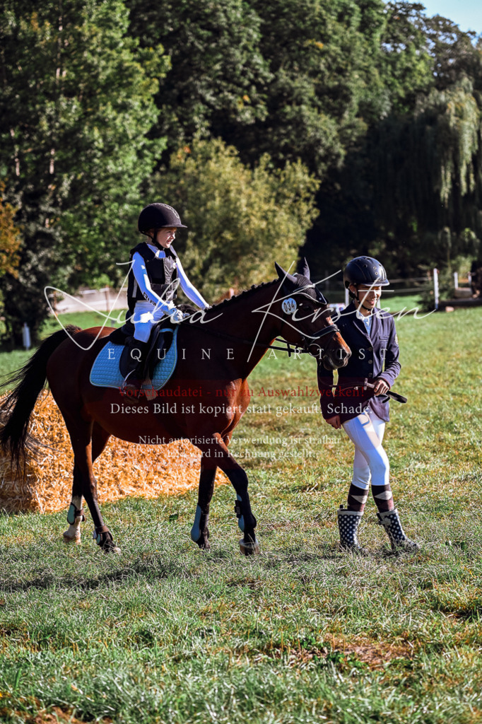 DSC_0270 | Pferde- und Turnierfotografie in Westsachsen. Pferdeportraits, Auftragszeichnungen und intuitive Kunst.