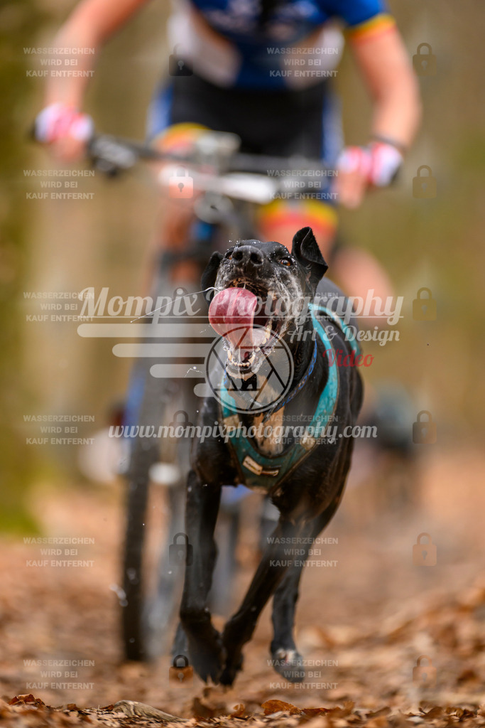 MompixPhotography_Habay2025_SA_Bike-63 | mompixphotography