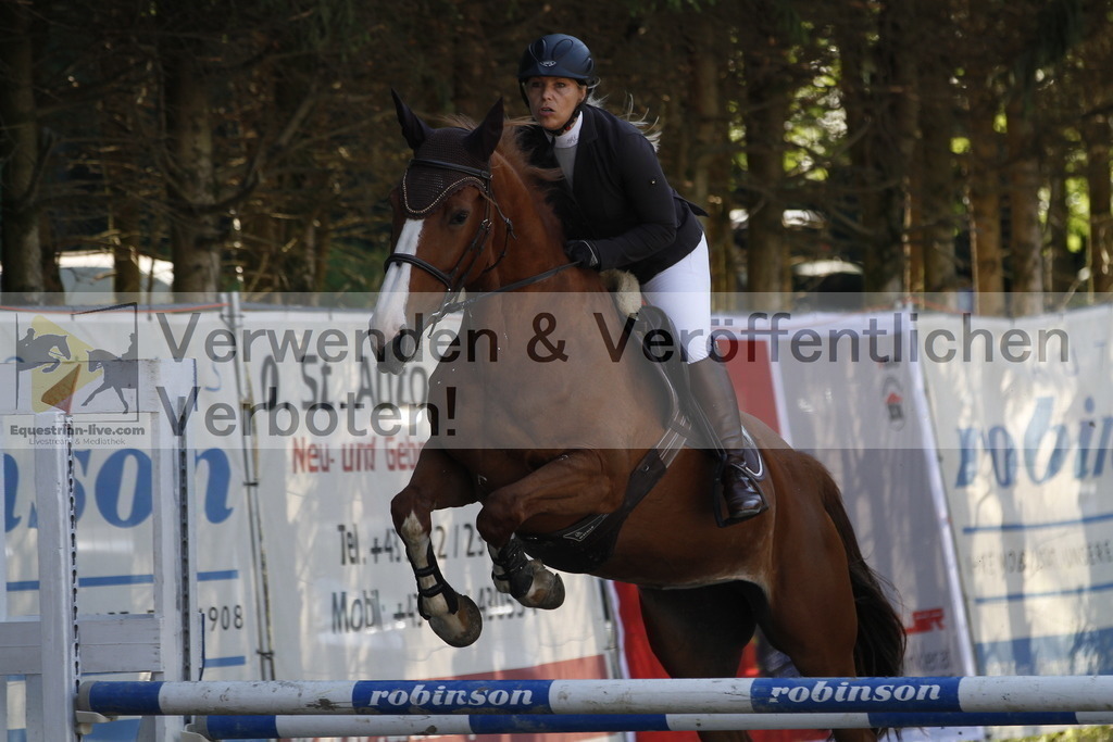 _MG_1361 | equestrian-live-com