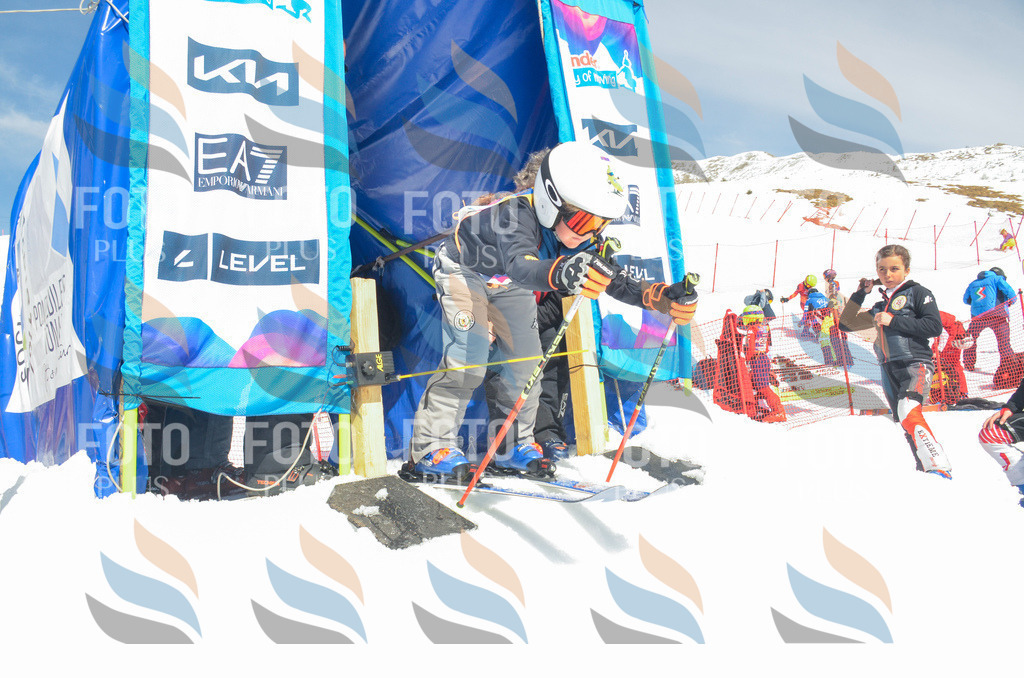 _ELE6326 | holidayphoto