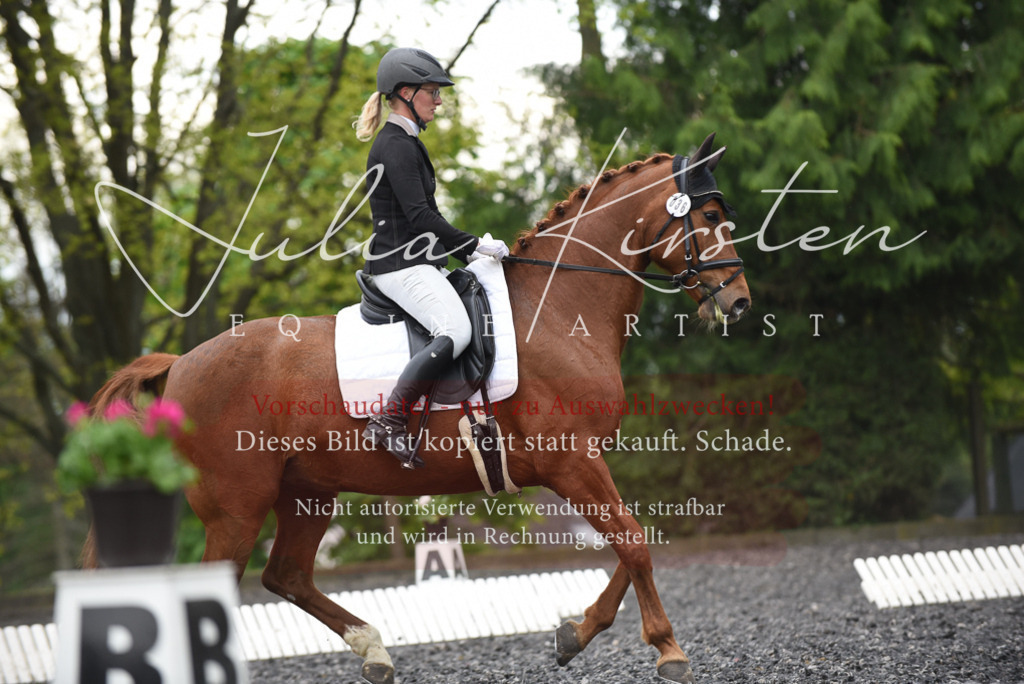 20230513_JK-Röhrsdorf-15-304 | Pferde- und Turnierfotografie in Westsachsen. Pferdeportraits, Auftragszeichnungen und intuitive Kunst.
