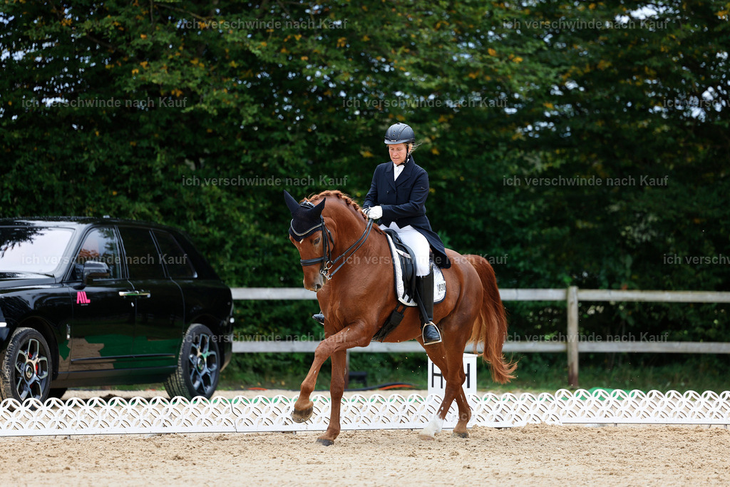 6-090-AMATUER-DRESSUR S_  -StoibPH-3605 | working equitationturnier fotograf videograf stoibphotography marixx film working equitation deutschland reitsport turnierfotografie eventfotografie equestrian events