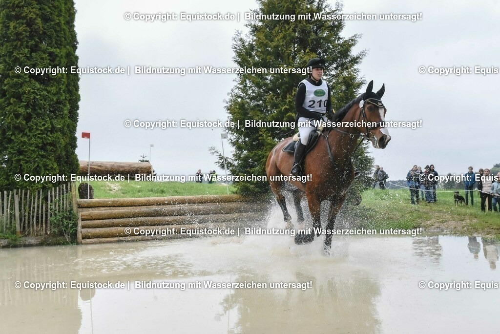 20230513_CCI2_Section2_Gelände_0044 | equistock