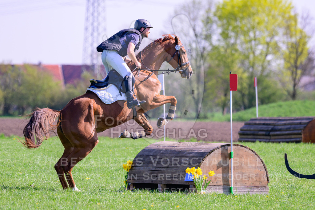 18042026-Gernlinden-03-0581 | Fokus Hufschlag Fotografie - Realisiert mit Pictrs.com