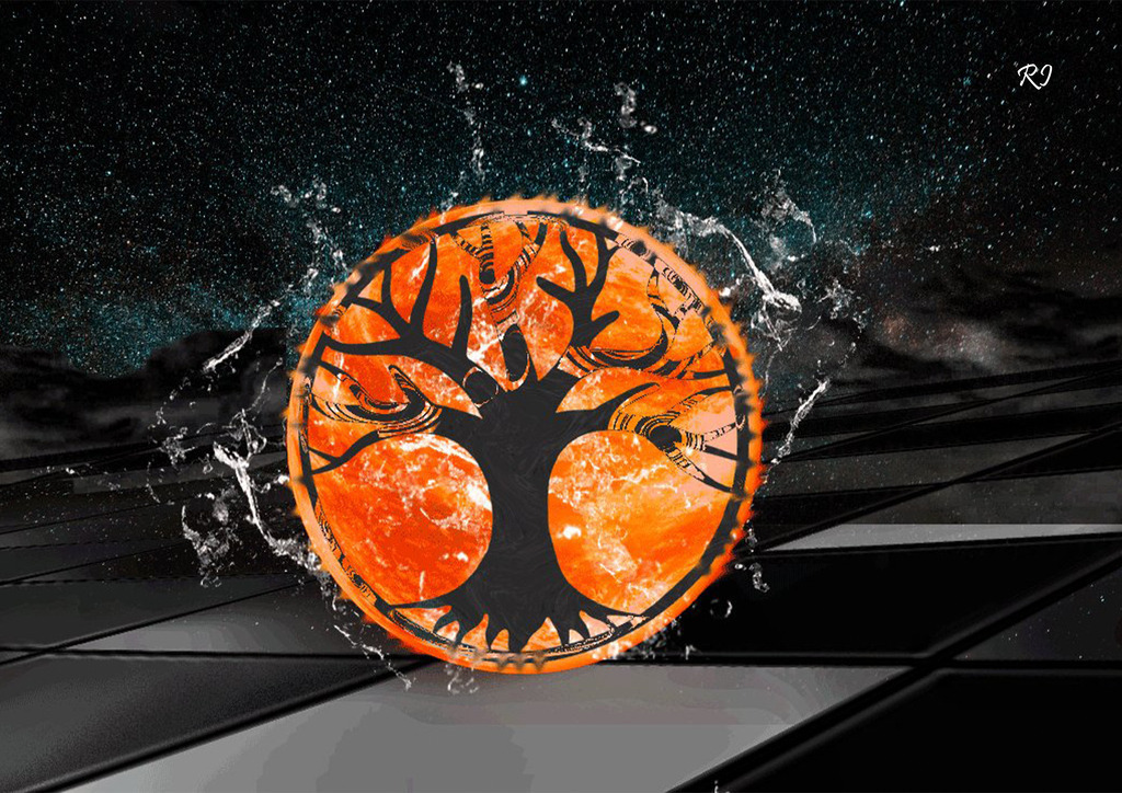 122142799442631920 | raphyshop. - Realisiert mit Pictrs.com