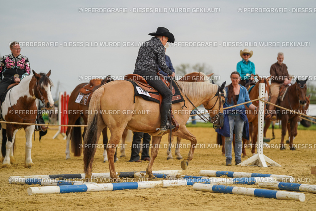 DSC02266 | Pferdegrafie