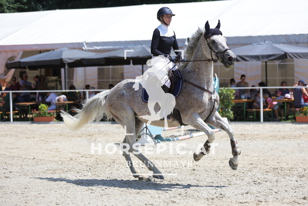 0P6A9322 | Willkommen bei Brunnmayr - Design & Fotografie – Ihrem Spezialisten für Reitturniere und Pferdeveranstaltungen in Oberösterreich, Salzburg und Bayern! Seit über 17 Jahren sind wir leidenschaftlich dabei.