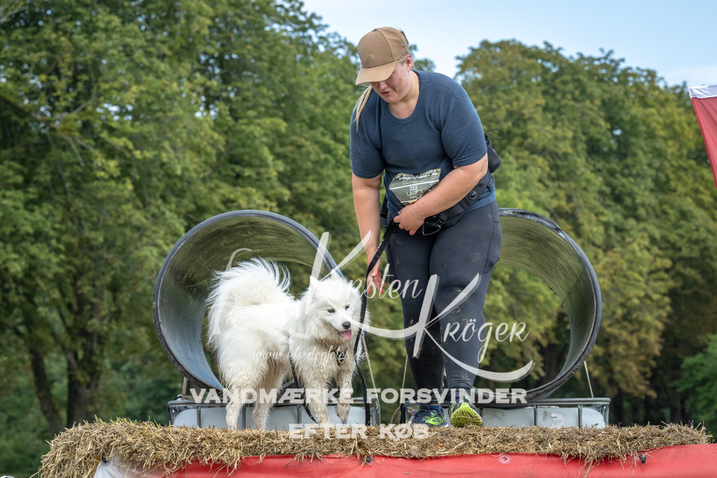 1415_ZZ90889 | kk-dogfotos