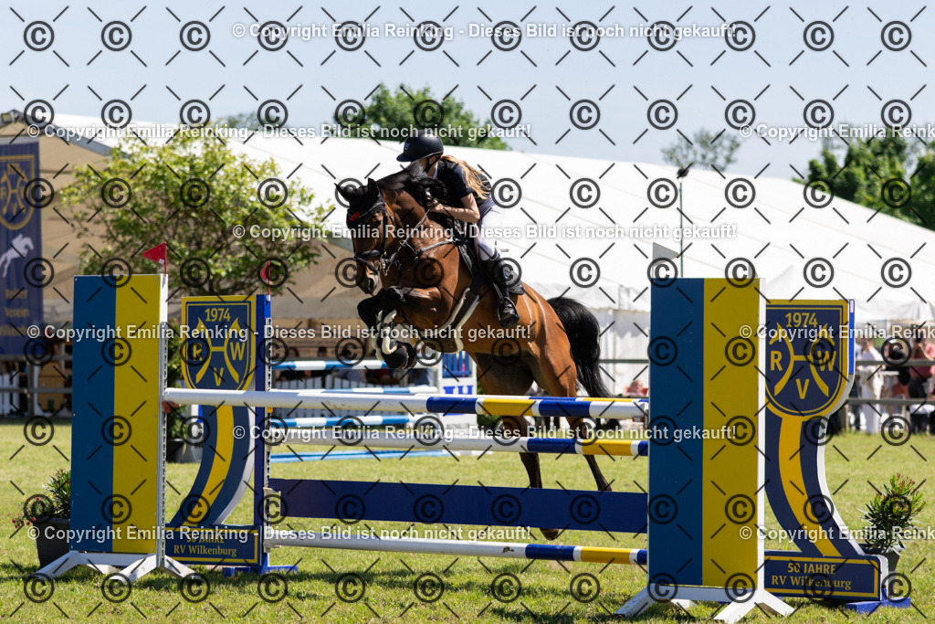 CL5A1152 | Emilia Reinking Fotografie - Realisiert mit Pictrs.com