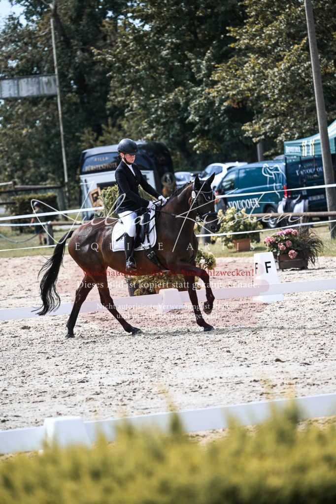 DSC_5260 | Pferde- und Turnierfotografie in Westsachsen. Pferdeportraits, Auftragszeichnungen und intuitive Kunst.