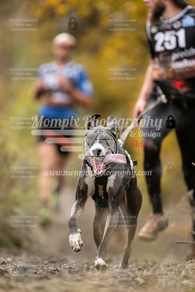 MompixPhotography_ICF_WC_2024_SA_Run_-41 | PayLife