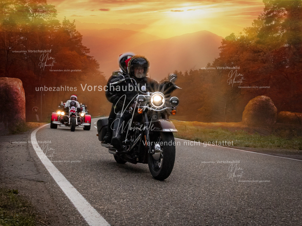 _16A2921-1 | Einzigartige Fotos von Hunden & Menschen –Actionfotos, Portraits, Vereinsaufnahmen & Paarshootings – authentisch, lebendig & mit Herz.