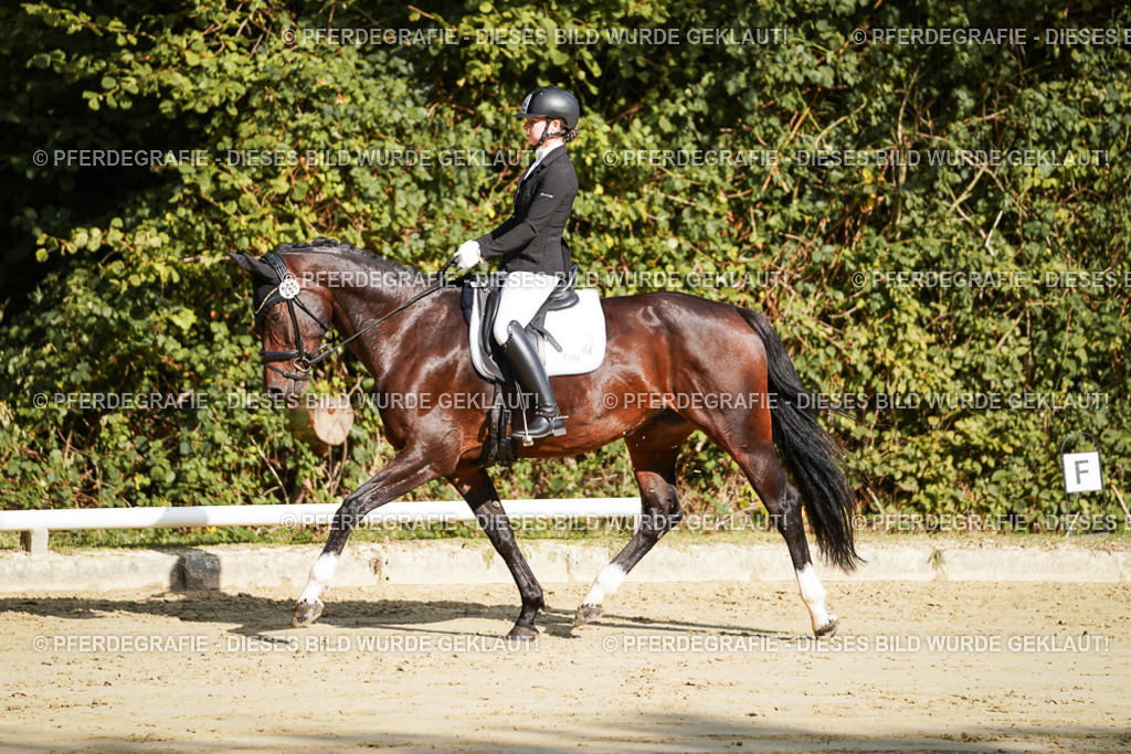 DSC07916 | Pferdegrafie