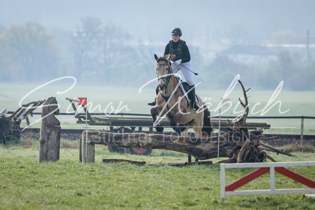 20260329-_3LI3597 | Tierfotografie Pferde, Hunde, Katzen, Haustiere.
Turnierfotografie Reitturniere, Reiten, Springreiten, Dressur in Hanau, dem Main-Kinzig-Kreis und dem Rhein-Main- Gebiet um Frankfurt