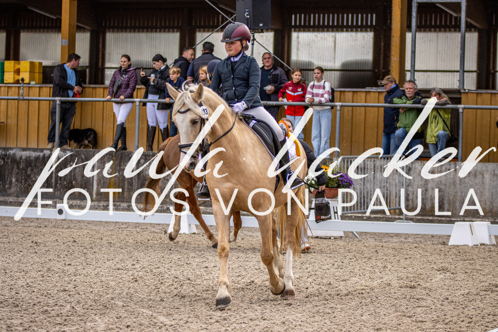 IMG_3520 | Erleben Sie dynamische Sport- und emotionale Tierfotografie in Süddeutschland mit Fotos von Paula. Spezialisiert auf Pferde- und Hundefotografie sowie Sportevents. Kontaktieren Sie mich für einzigartige und ausdrucksstarke Bilder Ihrer besonderen Momente. - Realisiert mit Pictrs.com