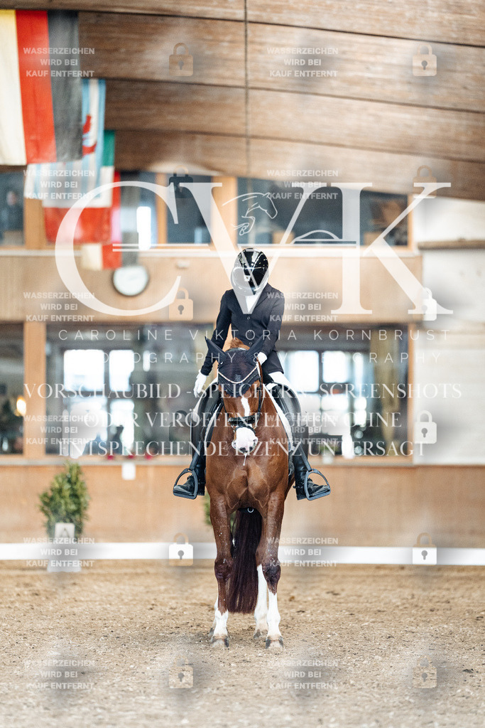 CK901252 | Turnierfotografie Pferdefotografie Trier Rheinland-Pfalz Pferdesport Reitsport Tierfotografie Sportfotografie Pferdevideo Pferdevideografie Equestrianvideography equestrianphotography  - Realisiert mit Pictrs.com