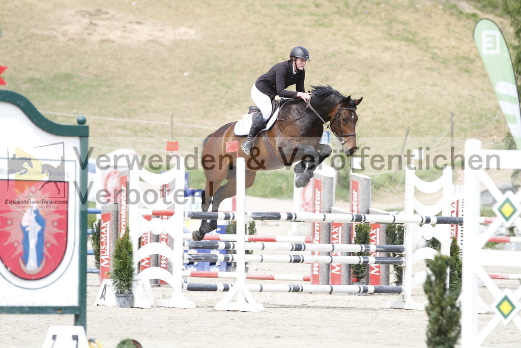 _MG_3822 | equestrian-live-com