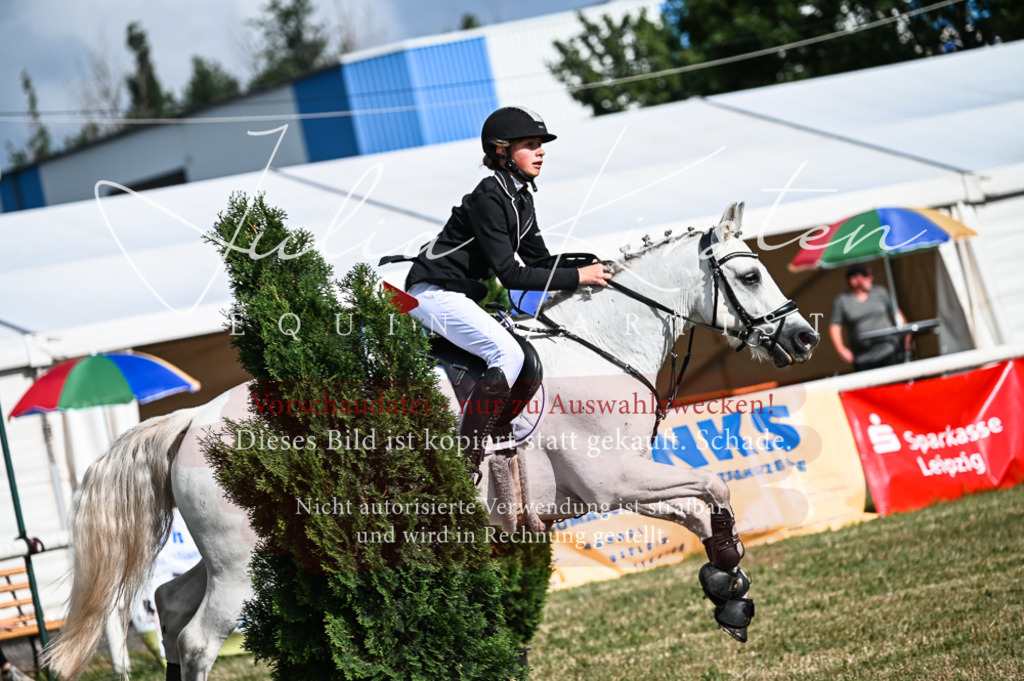 DSC_7717 | Pferde- und Turnierfotografie in Westsachsen. Pferdeportraits, Auftragszeichnungen und intuitive Kunst.