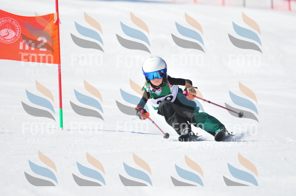 C2727 | holidayphoto