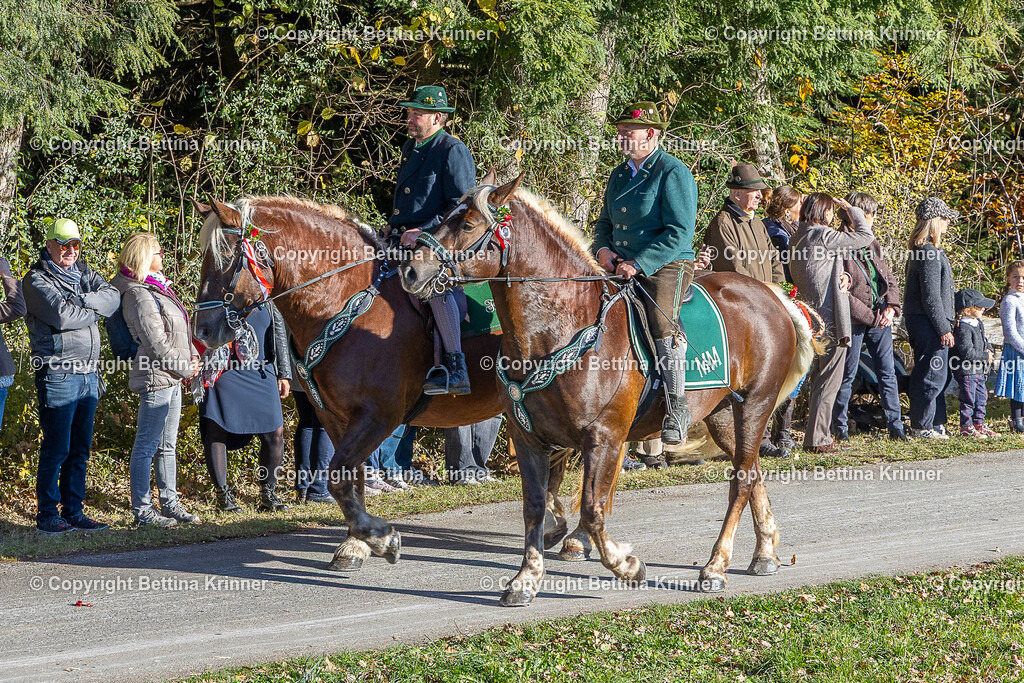 LBT25-205 | foto-bettina-krinner - Realisiert mit Pictrs.com