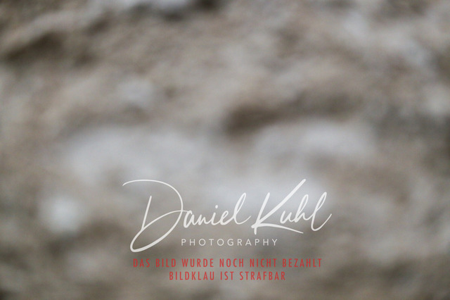 IMG_7359 | Turniersportfotografie; Pferdefotografie; Dressurfotografie