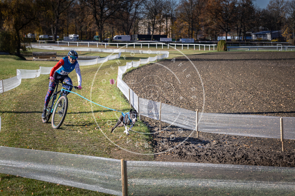 CaniXpix_DV3A6164 | Hundefotografie, Tierfotograf, Pfotenfotografie, Fotoshooting Hund, Hunde Portrait, Hundesport, Hundeportraits, Heideshooting, Hunde, Sportfotograf, Hundefotograf, Turnierhundsport, THS,  - Realisiert mit Pictrs.com