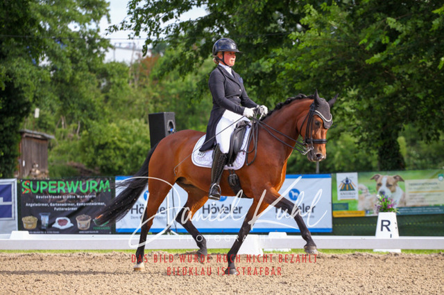 DKP41616 | Deine Turnierfotos vom Reitturnier online kaufen: Dressur, Springen & Siegerehrung. Professionelle Pferdefotografie aus dem Rheinland – als Download & Print.Alternative: Turnierfotograf für den Pferdesport: Finde deine Fotos von Dressur- und Springturnier