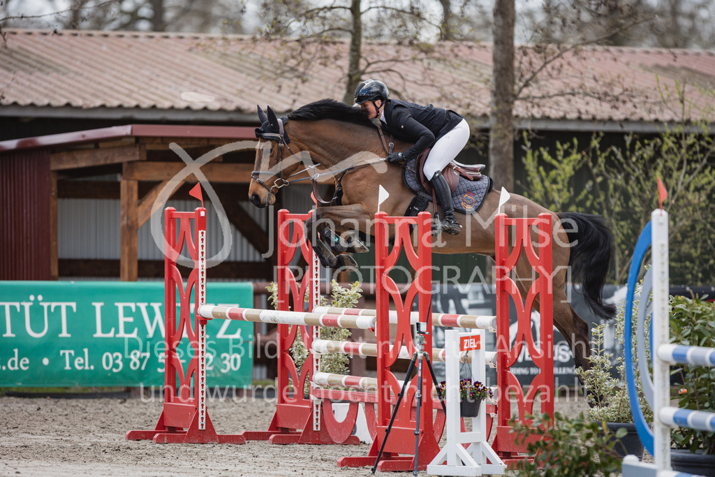 230411_Mühlen_03SprPf-L-457 | Deine schönsten Turniermomente als professionelle Fotos! Entdecke hochwertige Pferdesport-Fotografie im Online-Shop. Jetzt Fotos finden & bestellen!