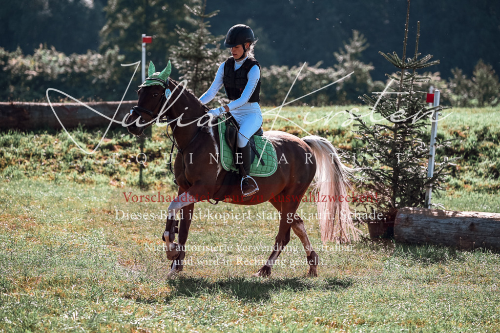 DSC_0838 | Pferde- und Turnierfotografie in Westsachsen. Pferdeportraits, Auftragszeichnungen und intuitive Kunst.
