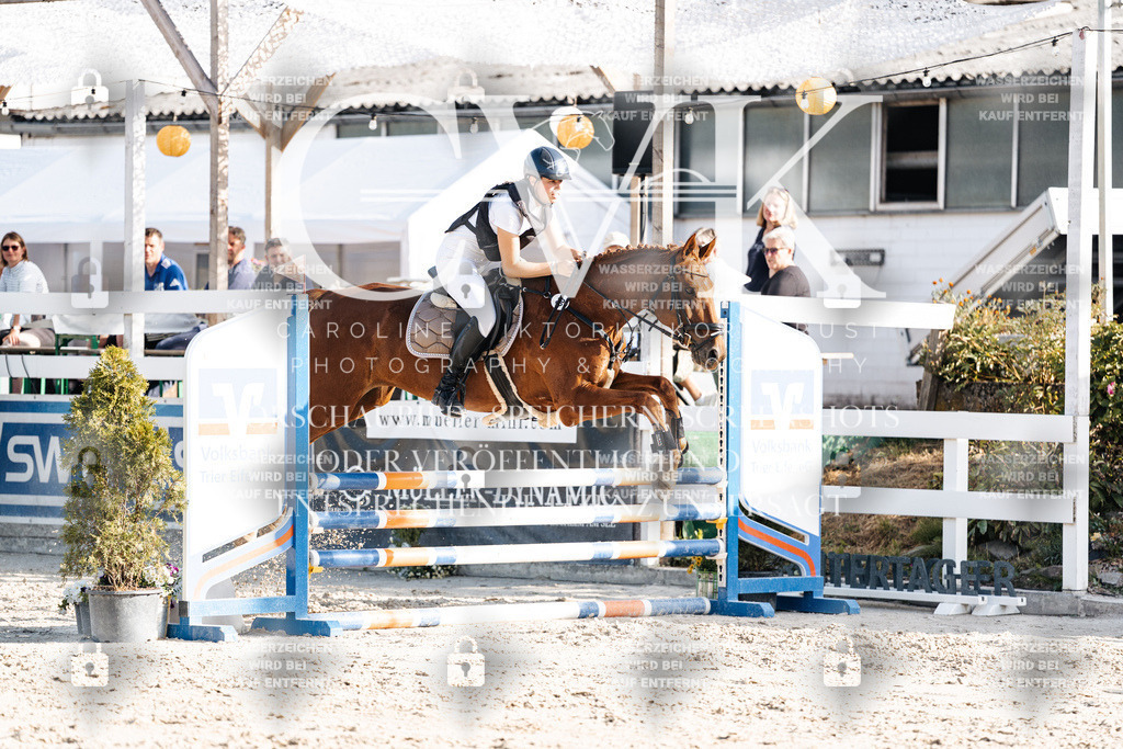 CK909606 | Turnierfotografie Pferdefotografie Trier Rheinland-Pfalz Pferdesport Reitsport Tierfotografie Sportfotografie Pferdevideo Pferdevideografie Equestrianvideography equestrianphotography  - Realisiert mit Pictrs.com