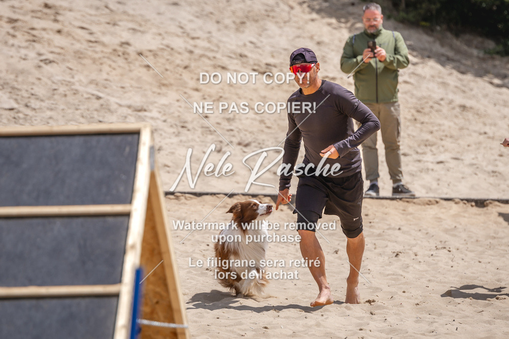 NR__2573 | nelerasche