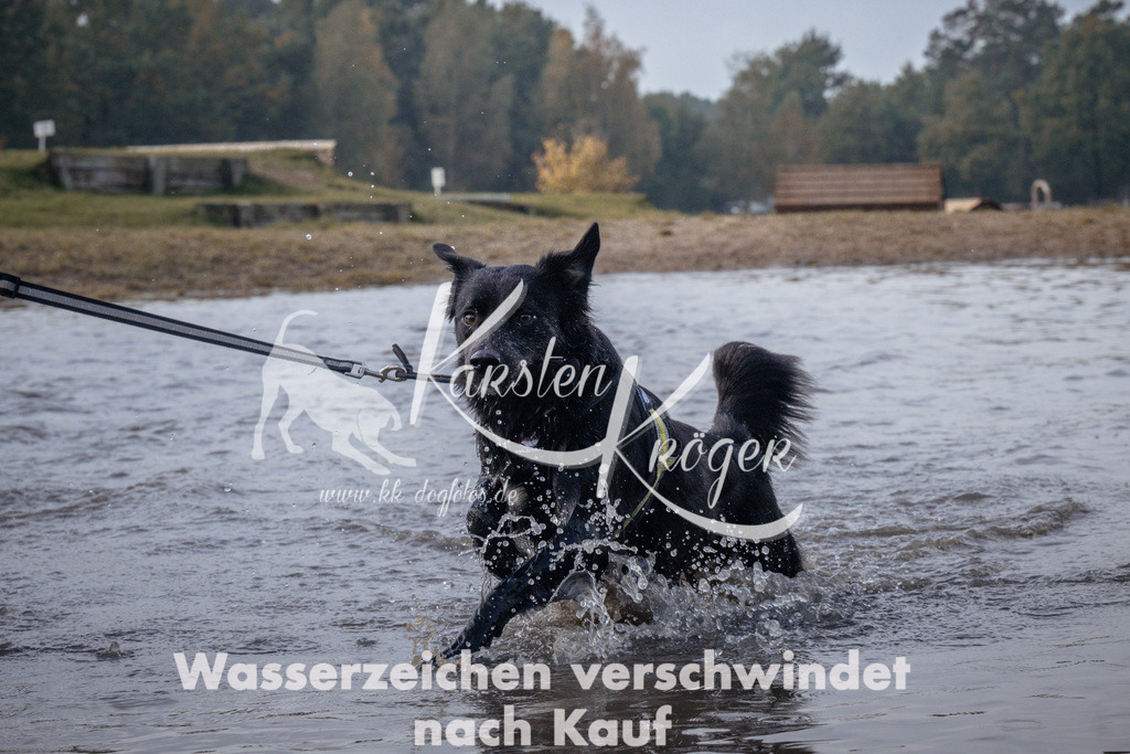 1142_ZZ96259 | kk-dogfotos