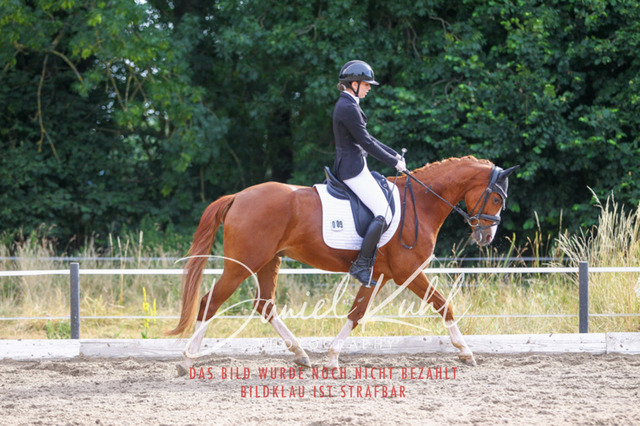 DKP45614 | Turniersportfotografie; Pferdefotografie; Dressurfotografie