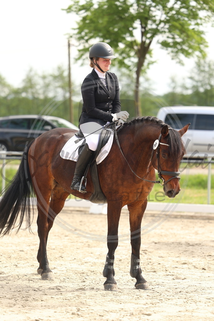 994A7614 | sabrinanicolaifotografie - Realisiert mit Pictrs.com