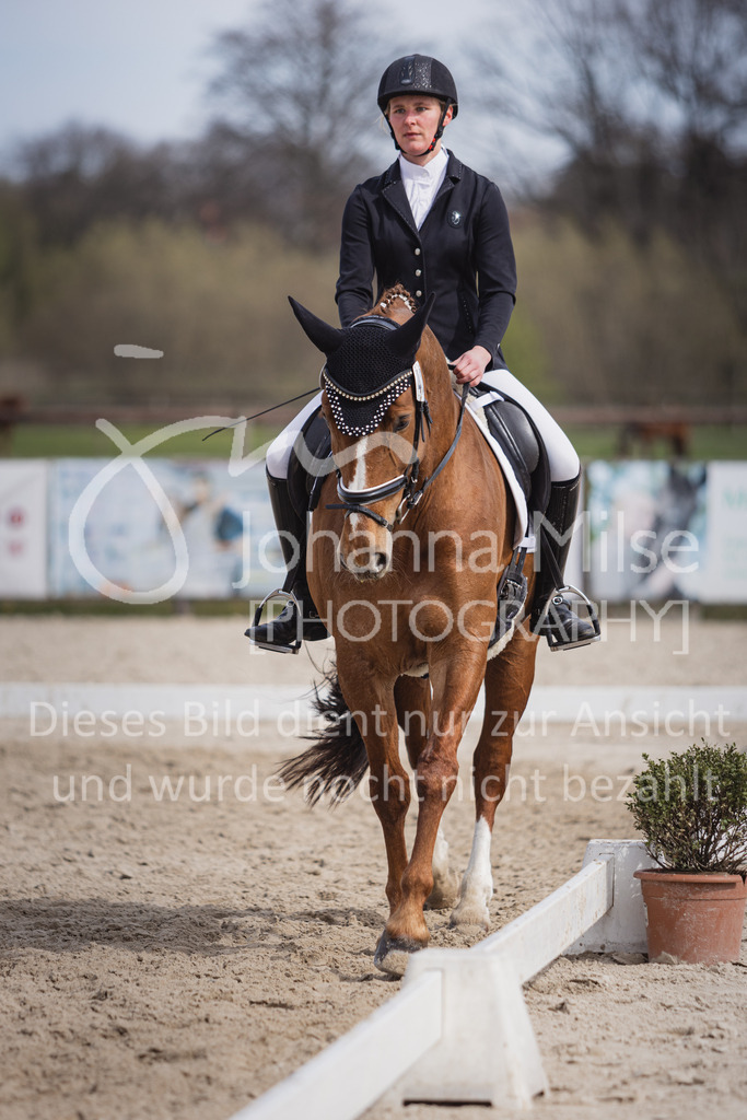 230410_Frühlingsfest_A-Dressur-509 | Deine schönsten Turniermomente als professionelle Fotos! Entdecke hochwertige Pferdesport-Fotografie im Online-Shop. Jetzt Fotos finden & bestellen!